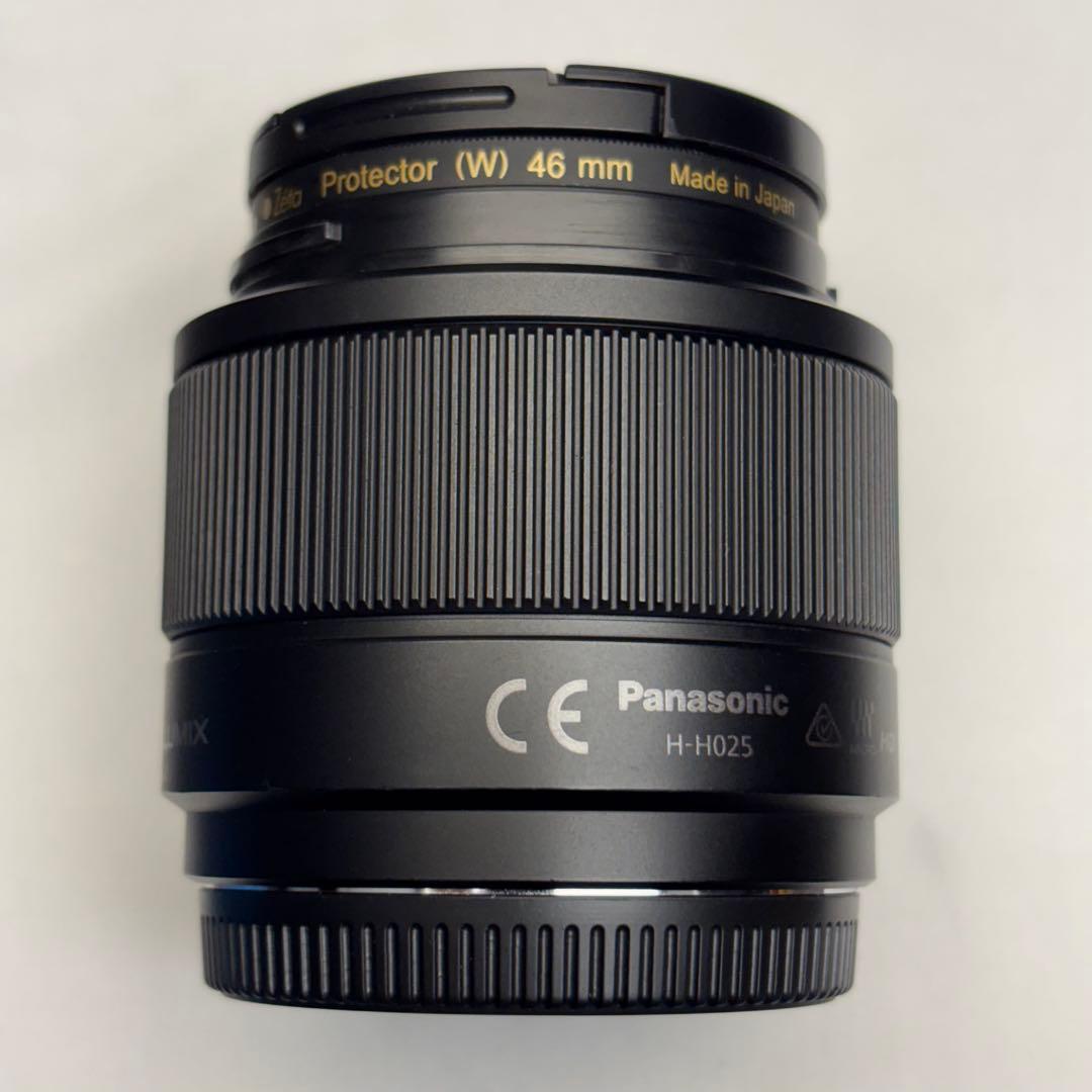 LUMIX GX8 レンズセット