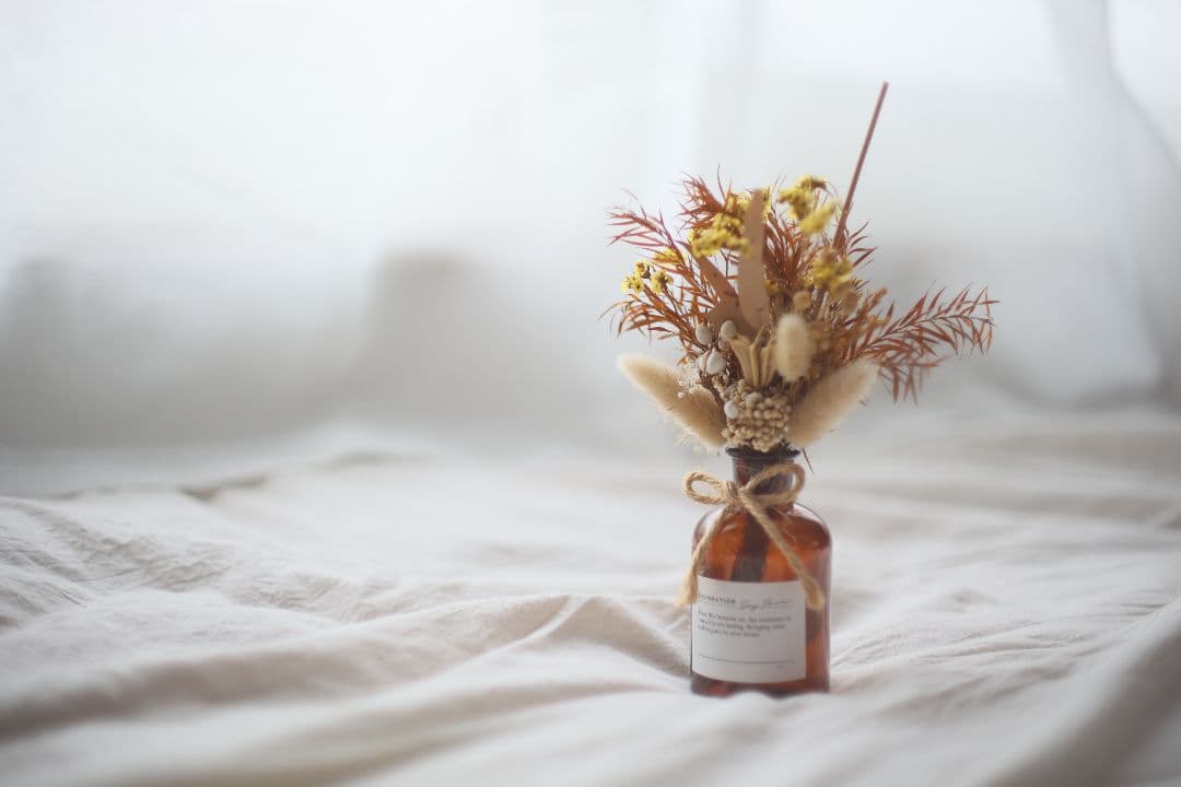 Super-Takumar 50mm F1.4 前期型 〈8枚玉〉【良品】