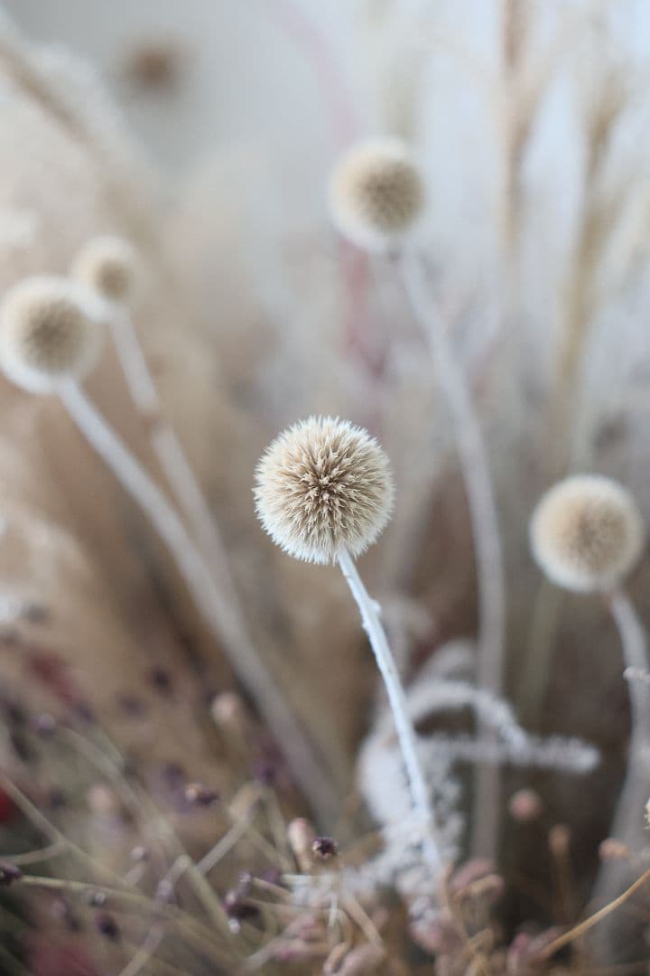 Super-Takumar 50mm F1.4 前期型 〈8枚玉〉【良品】