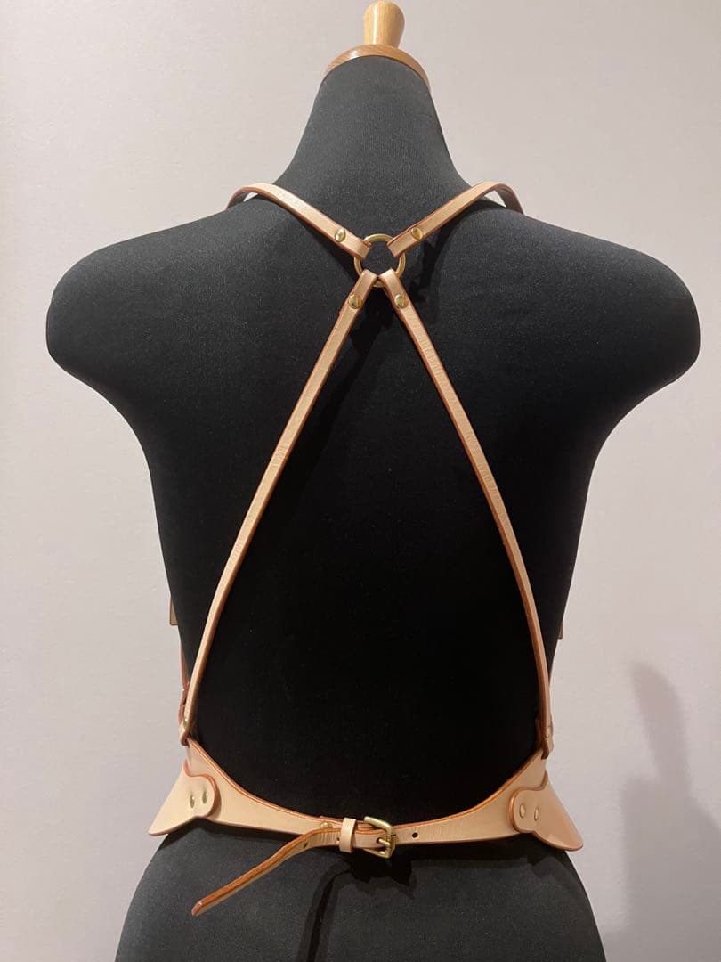 FLEET ILYA★XS フリートイリヤハーネス