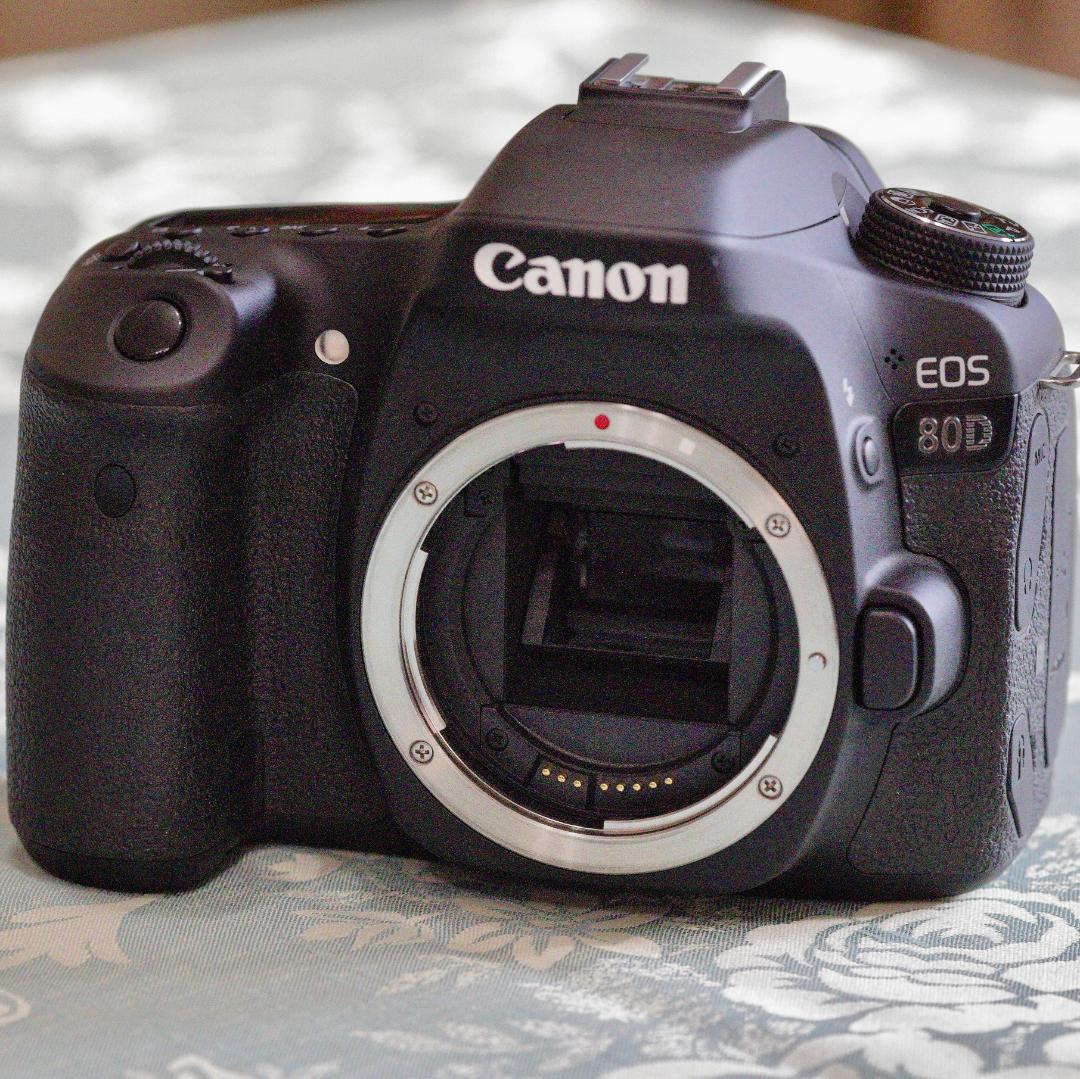 Canon EOS 80D（シャッター数700未満）