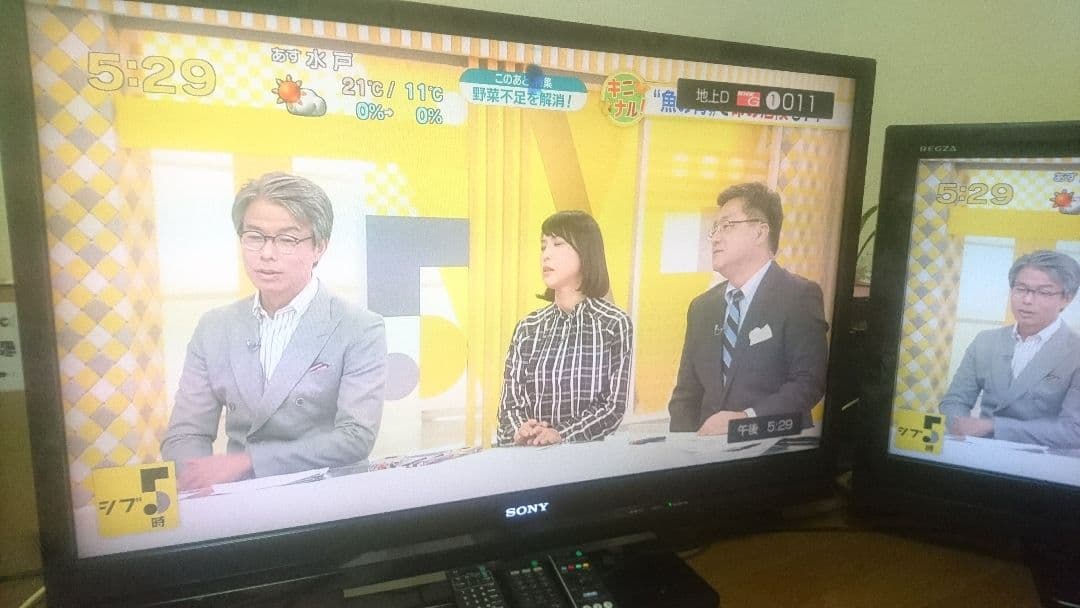 ブラビア32型 & BRAVIA 22【送料無料】