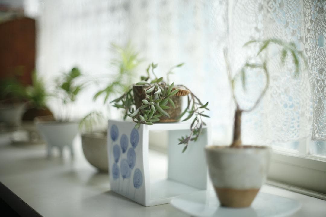 レンズ(単焦点) NIKON Non-Ai NIKKOR-S Auto F1.4/50mm L31