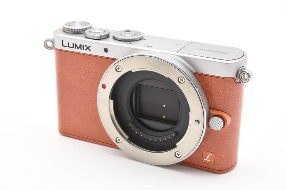 美品 Panasonic DMC-GM1 ショット数525回 1244