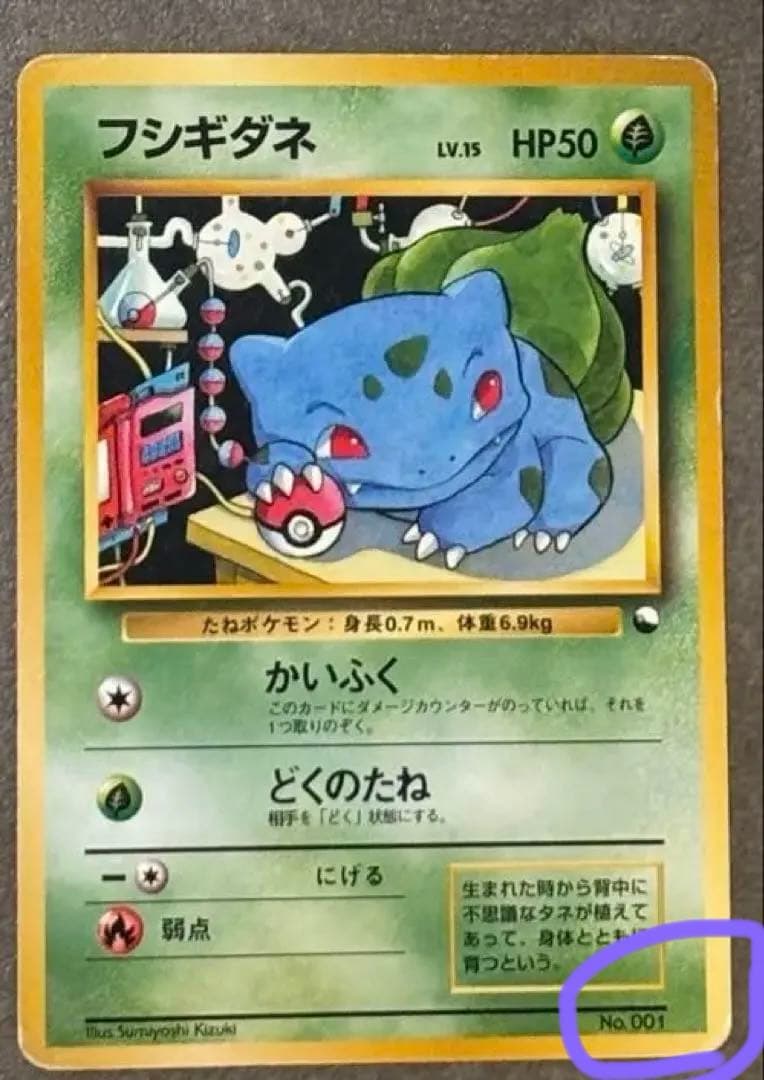 フシギダネ 初期