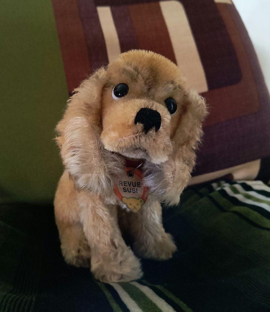 ドイツヴィンテージ オールドシュタイフ コッカースパニエル REVUE SUSI