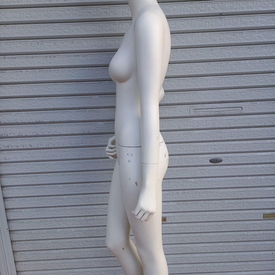 レディースマネキン 180cm ANAYI-2 トルソー ディスプレイ 婦人