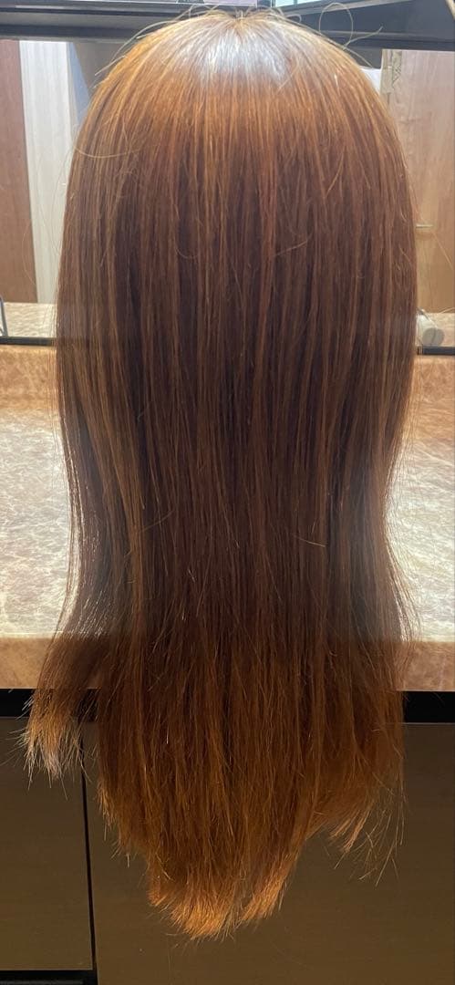 アルさんウィッグ　人毛100%