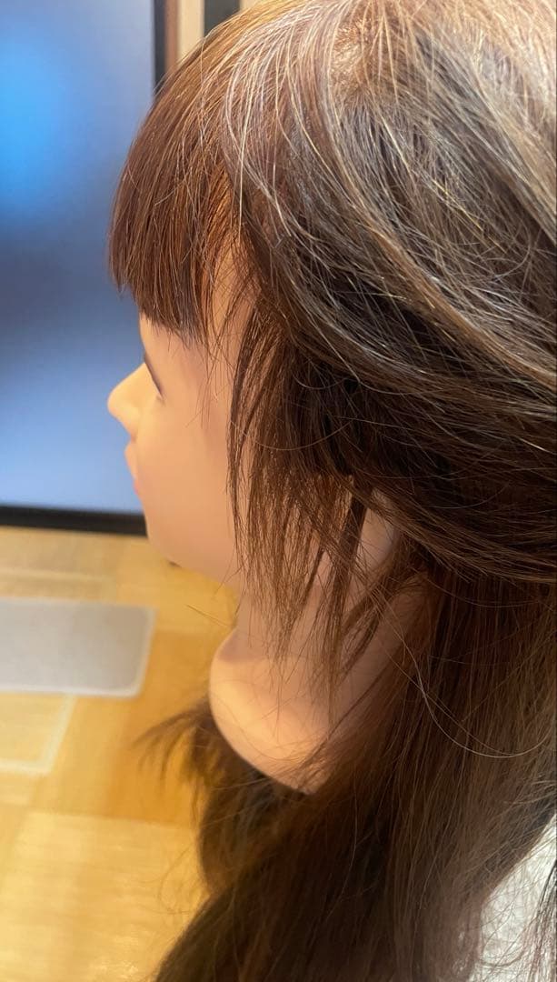 アルさんウィッグ　人毛100%