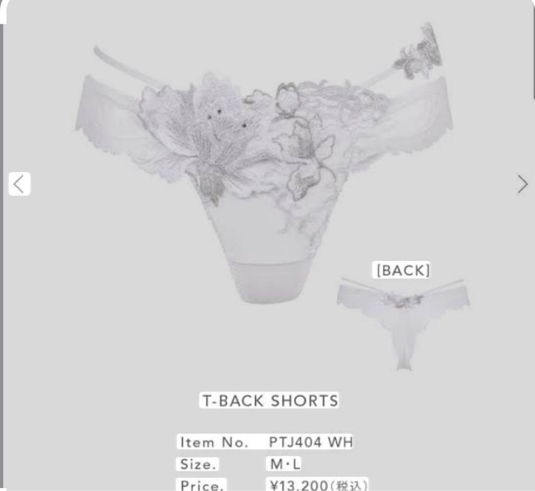 a*a様 新品フルタグ付き Salute サルート 04G ソング M WH T