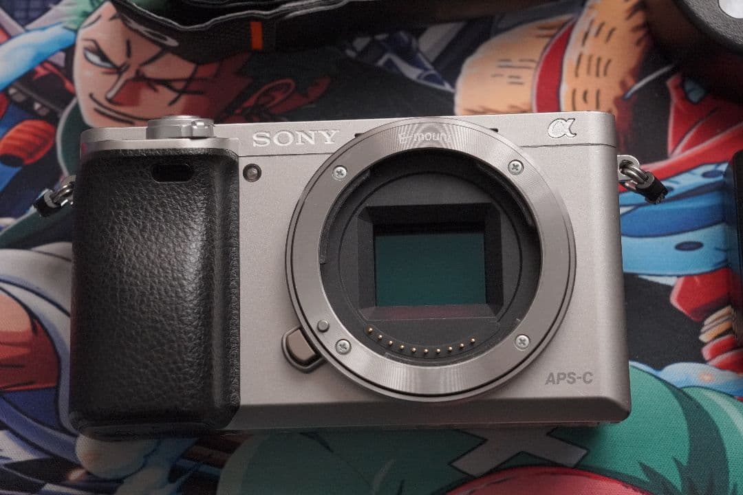 SONY α6000 ミラーレスカメラ シルバー