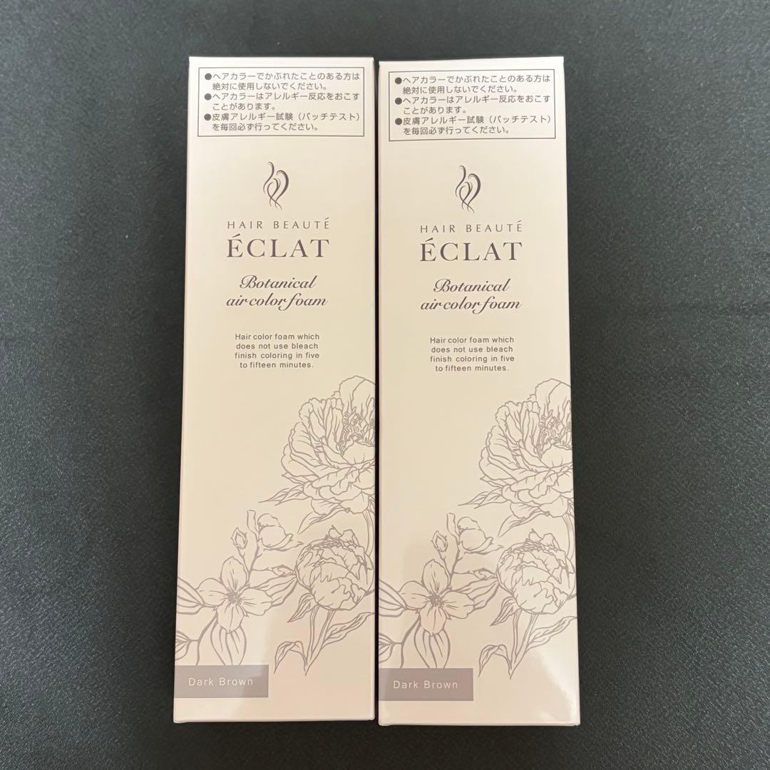 ヘアボーテ エクラ ボタニカル エアカラーフォーム ダークブラウン 2本セット