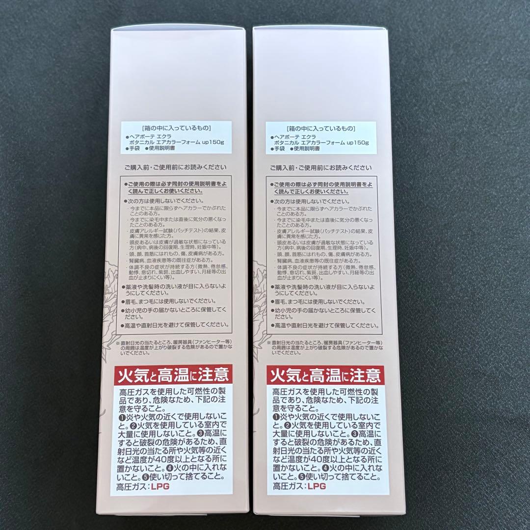 ヘアボーテ エクラ ボタニカル エアカラーフォーム ダークブラウン 2本セット
