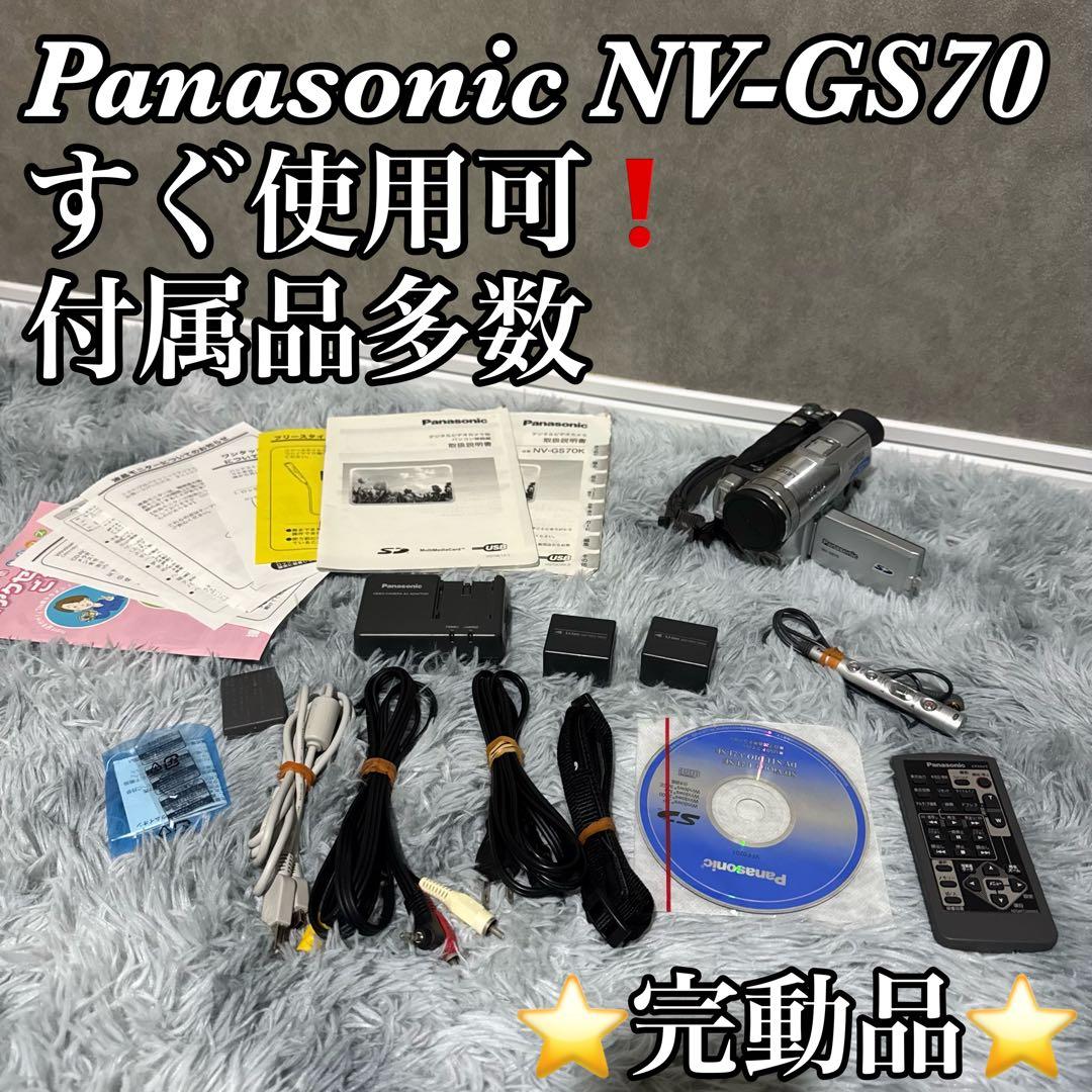 Panasonic NV-GS70 動作確認済 付属品多数！DIGICAM