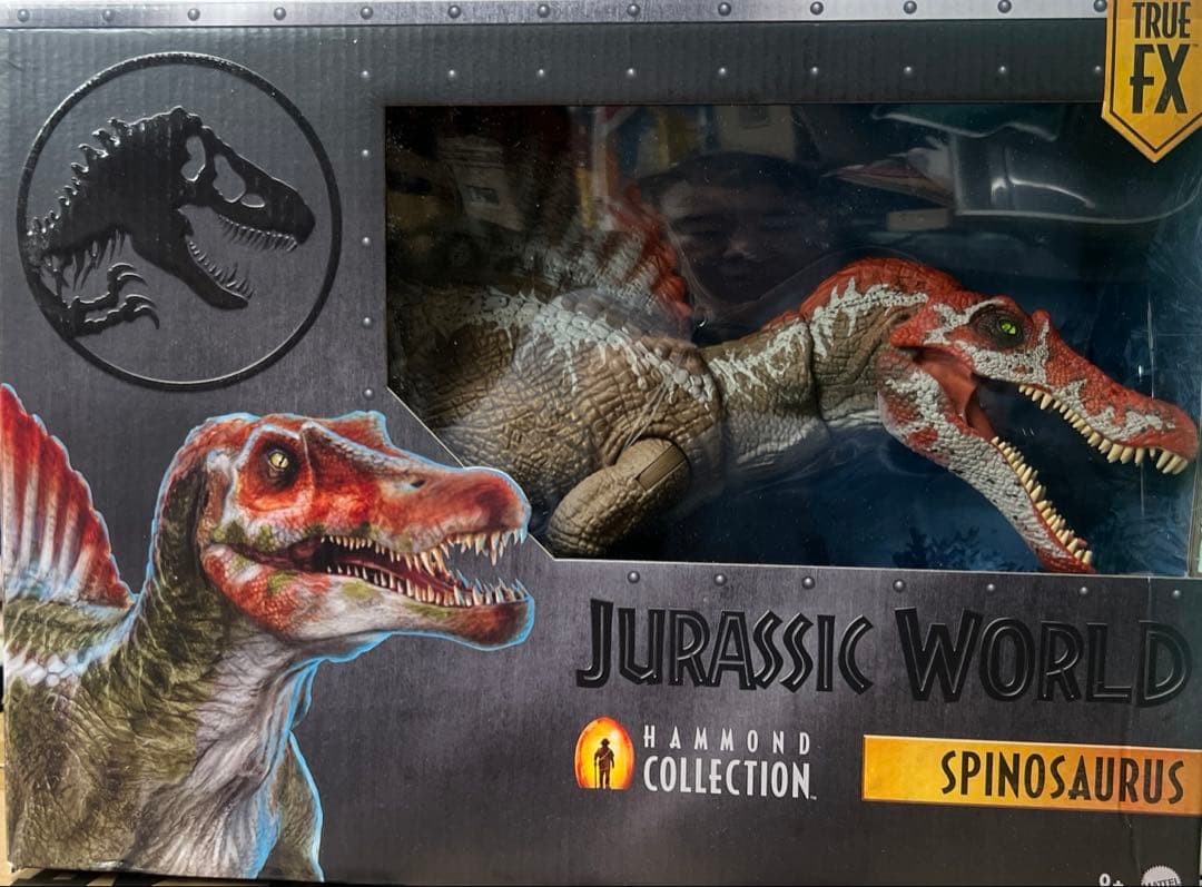 ハモンドコレクション スピノサウルス