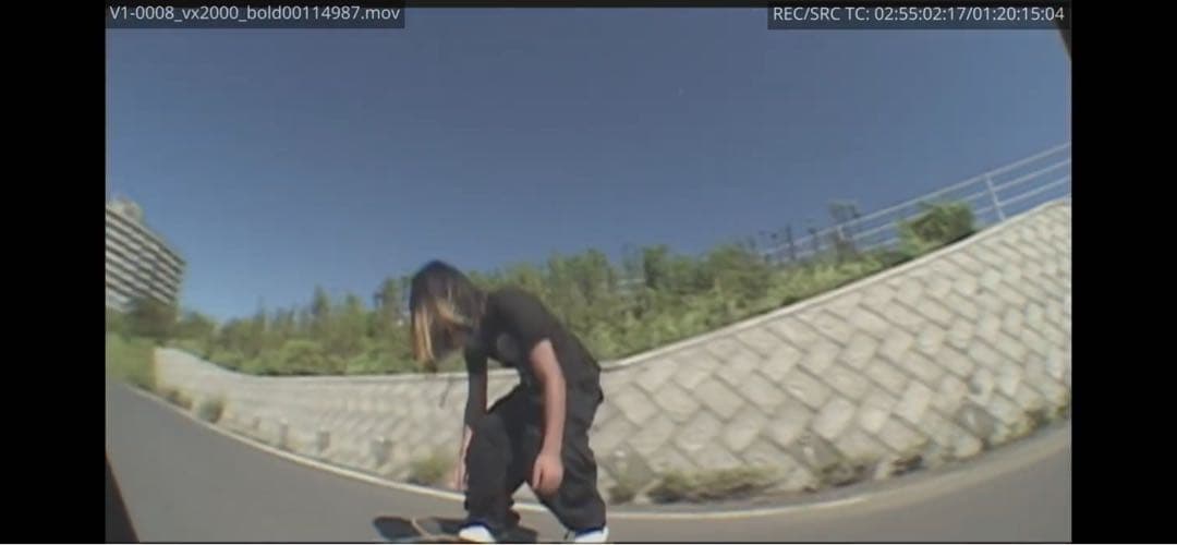 【II】SONY DCR-VX2000 ビデオカメラハンディカム