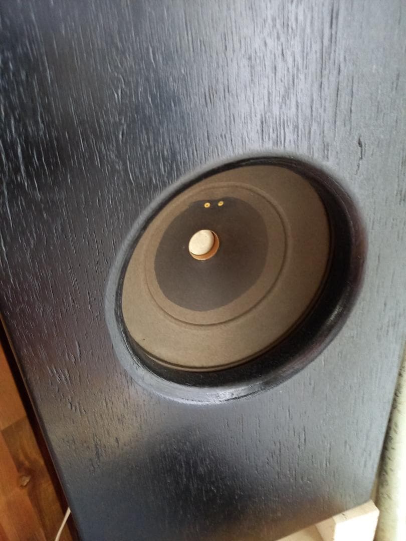 た*ん様 GRAETZ 8インチ 励磁型スピーカー