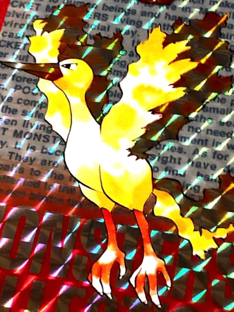 ポケモンカードダス　ファイヤー　146 Pokémon 希少