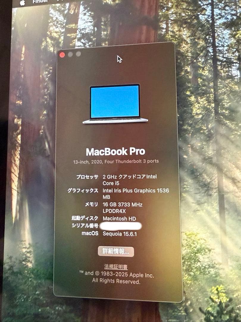 MacBook本体 MacBook Pro 13inch i5 16G 512GB A2251