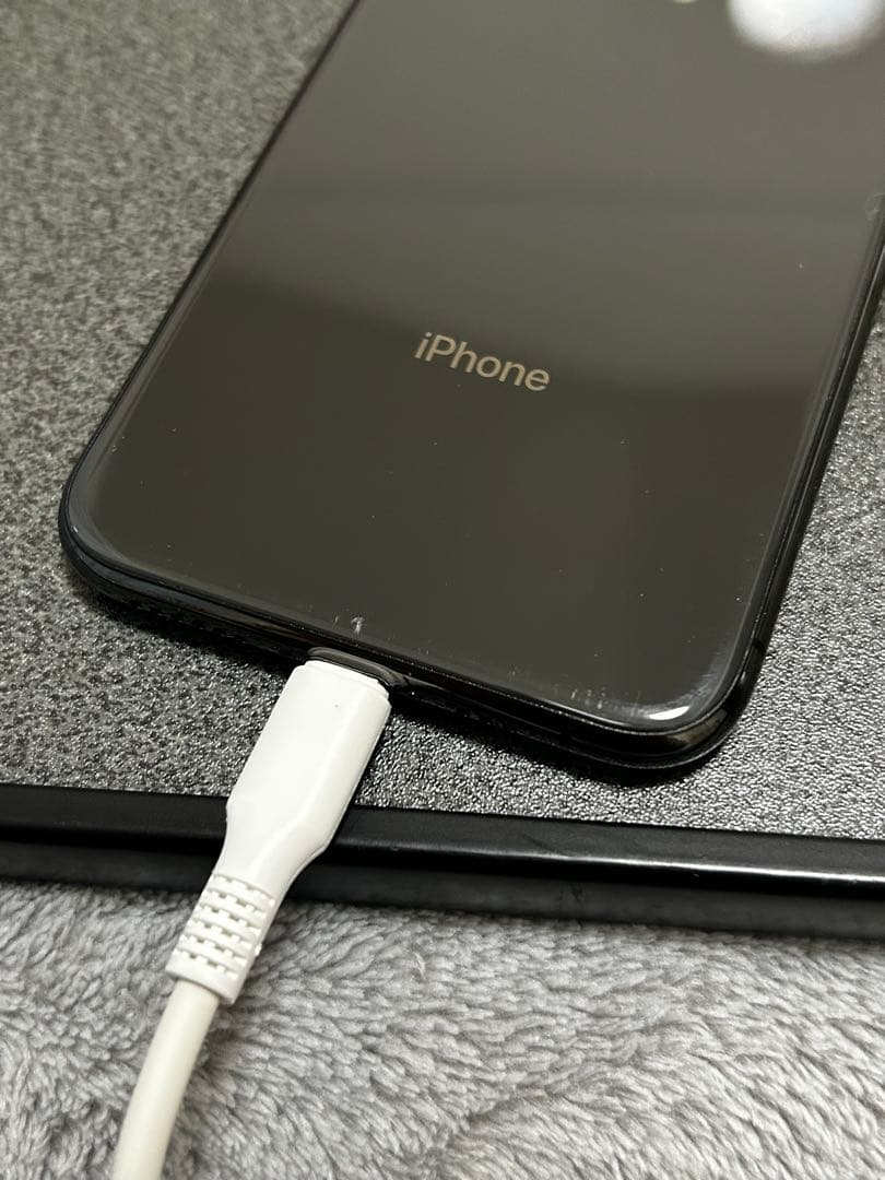 Apple iPhone Xs 256GB 本体