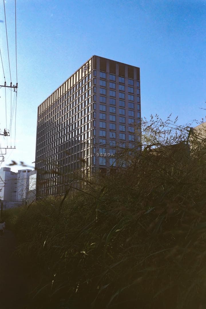 広角の鉄板 Leica Summaron 35mm F3.5 オールドレンズ