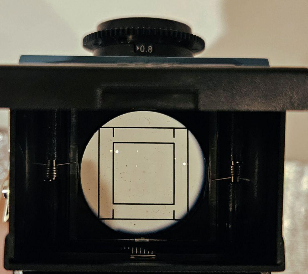 二眼レフカメラ blackbird,fly ブラックバード フライ