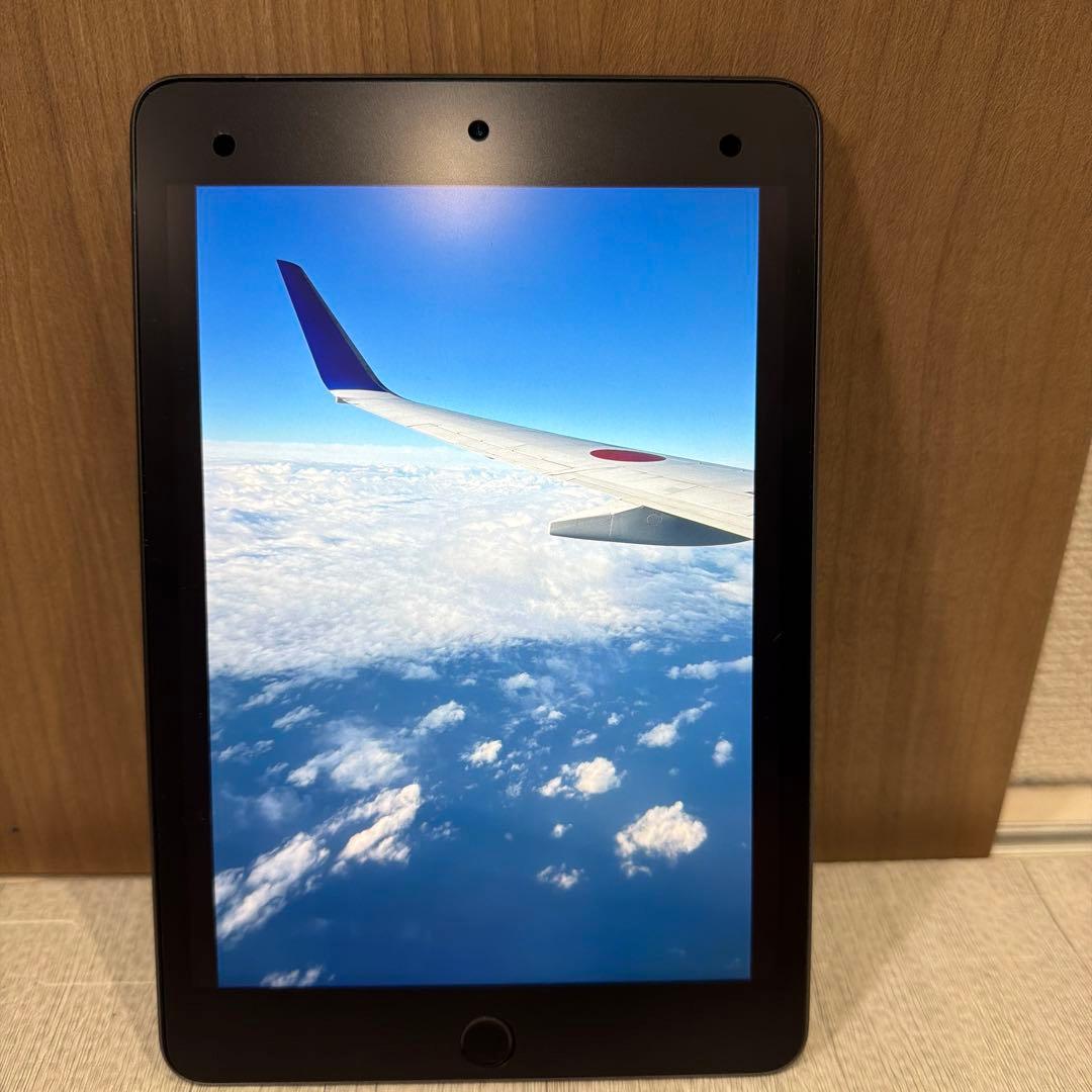 ipad mini5 セルラー simフリー 64gb 覗き見防止フィルム