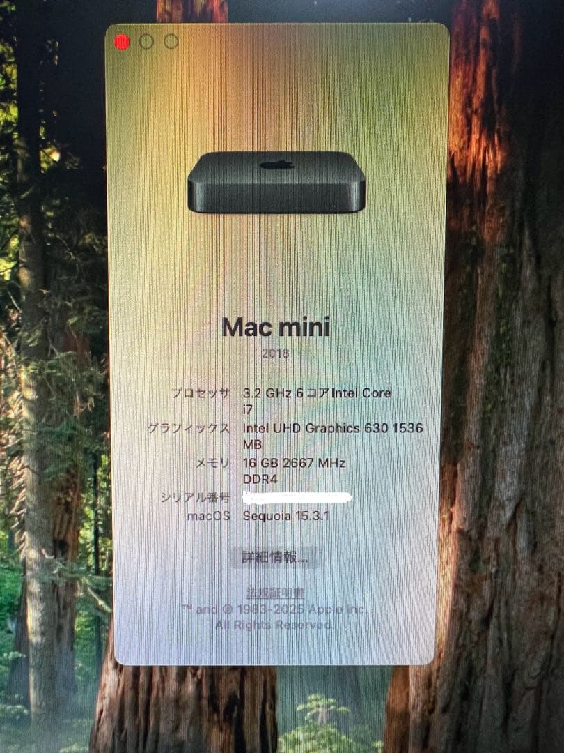 Macデスクトップ Mac mini 2018 Core i7 16G SSD256GB