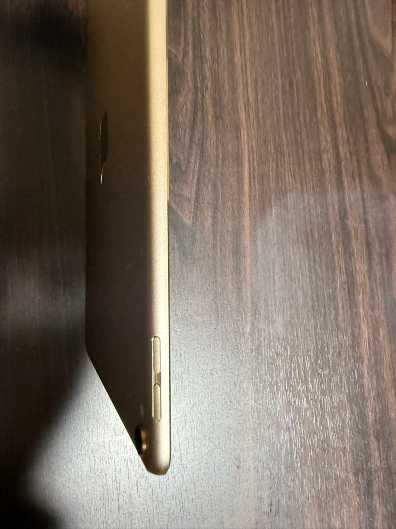 iPad Pro 10.5 Wi-Fi ゴールド256GB 【動作良好美品】