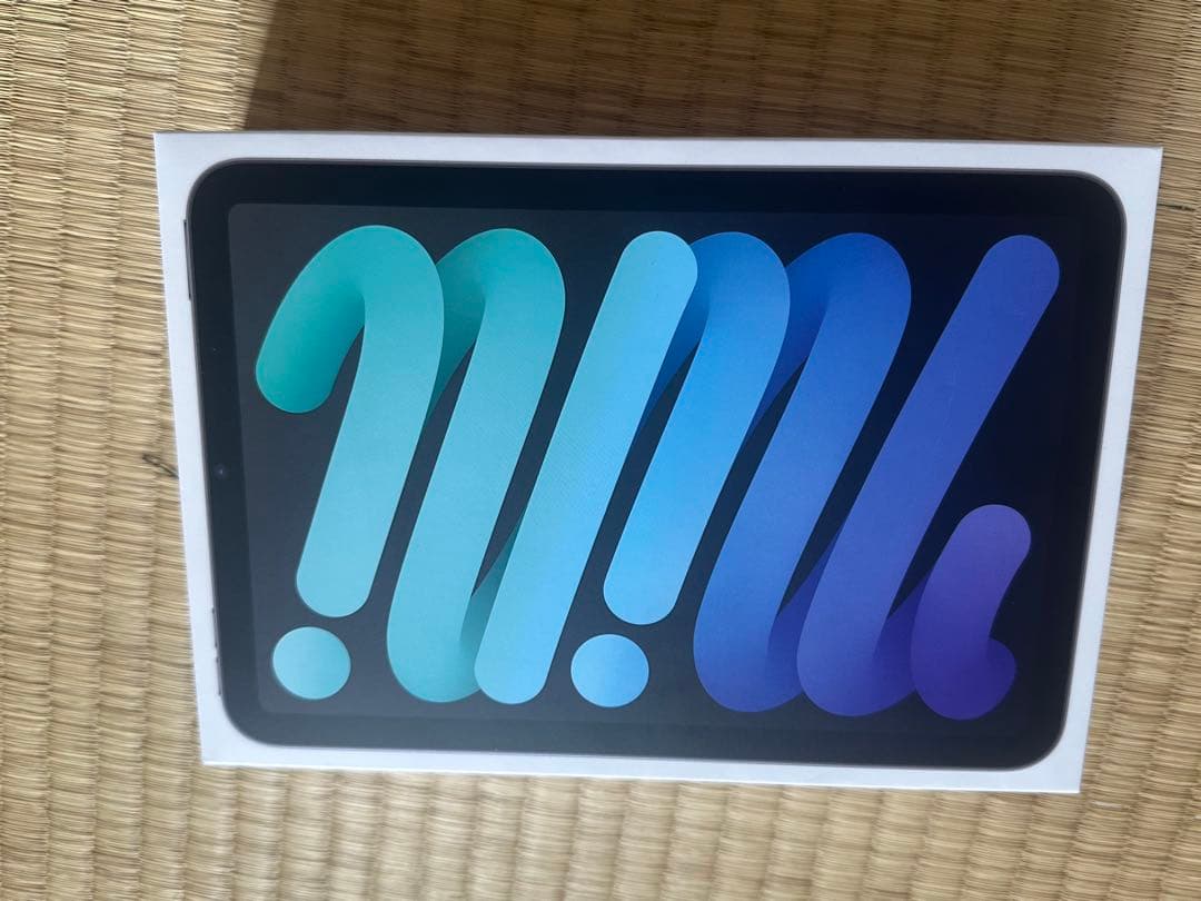 ipad mini 第6世代 256GB ジャンク