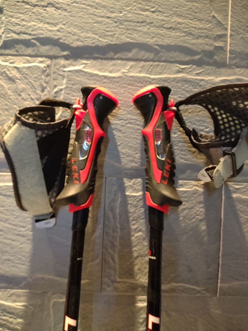 スキー LEKI AIRFOIL3D 110cm