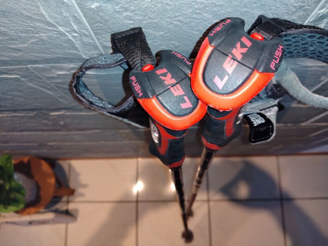 スキー LEKI AIRFOIL3D 110cm