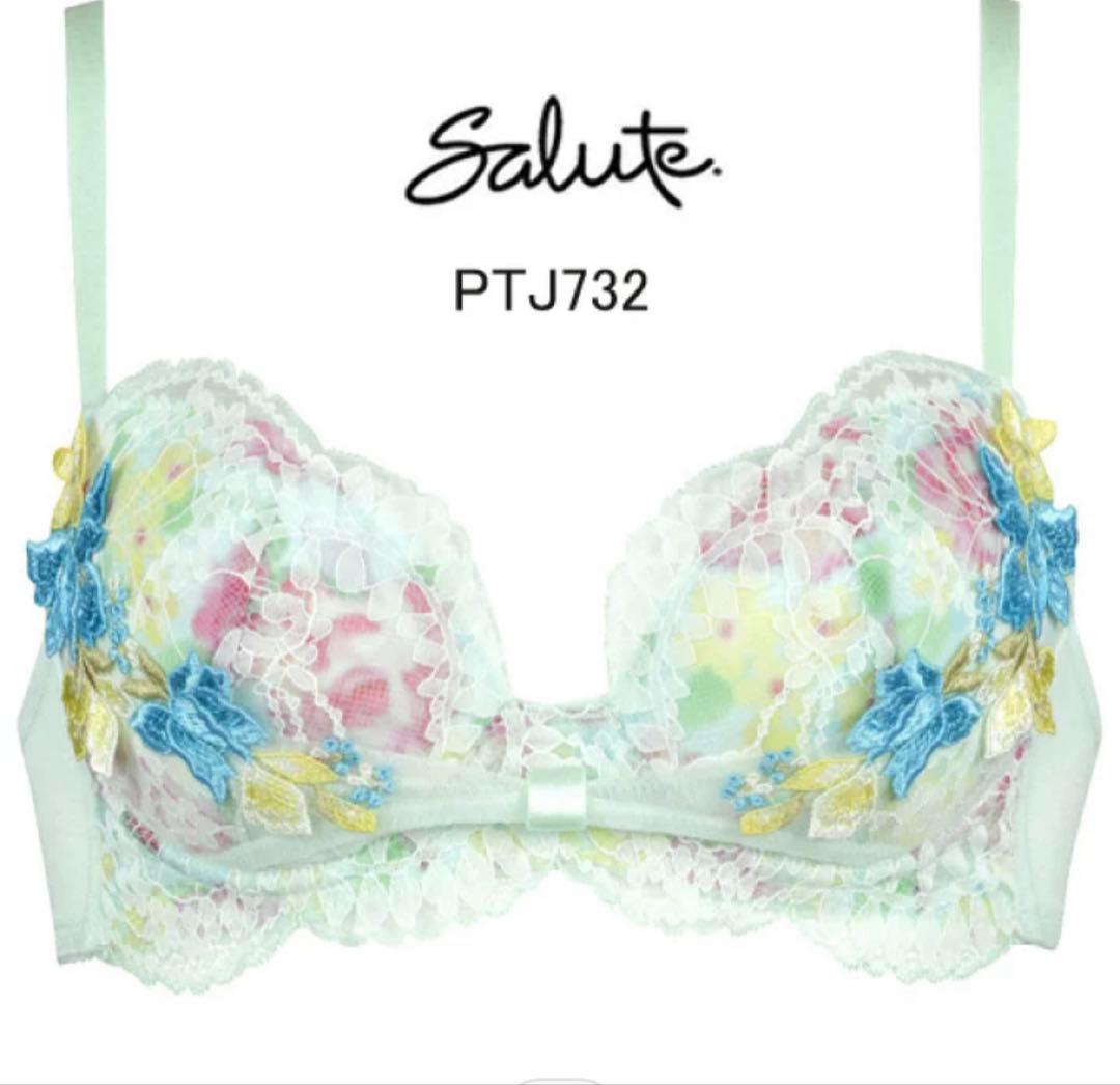 ワコール　サルート　32グループ 朝の谷間、ながもち、リボンブラ　E65-M