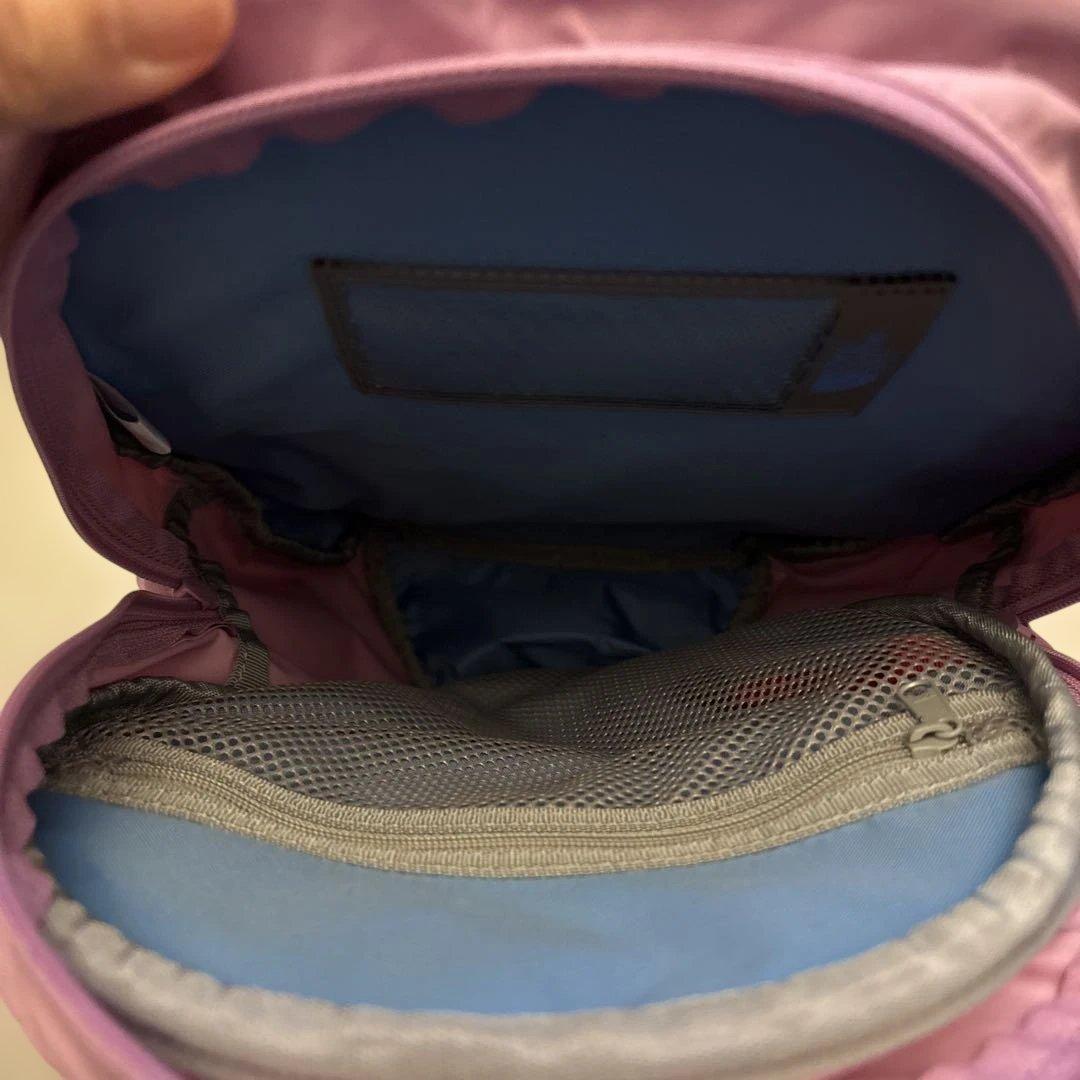 THE NORTH FACE パープル リュック