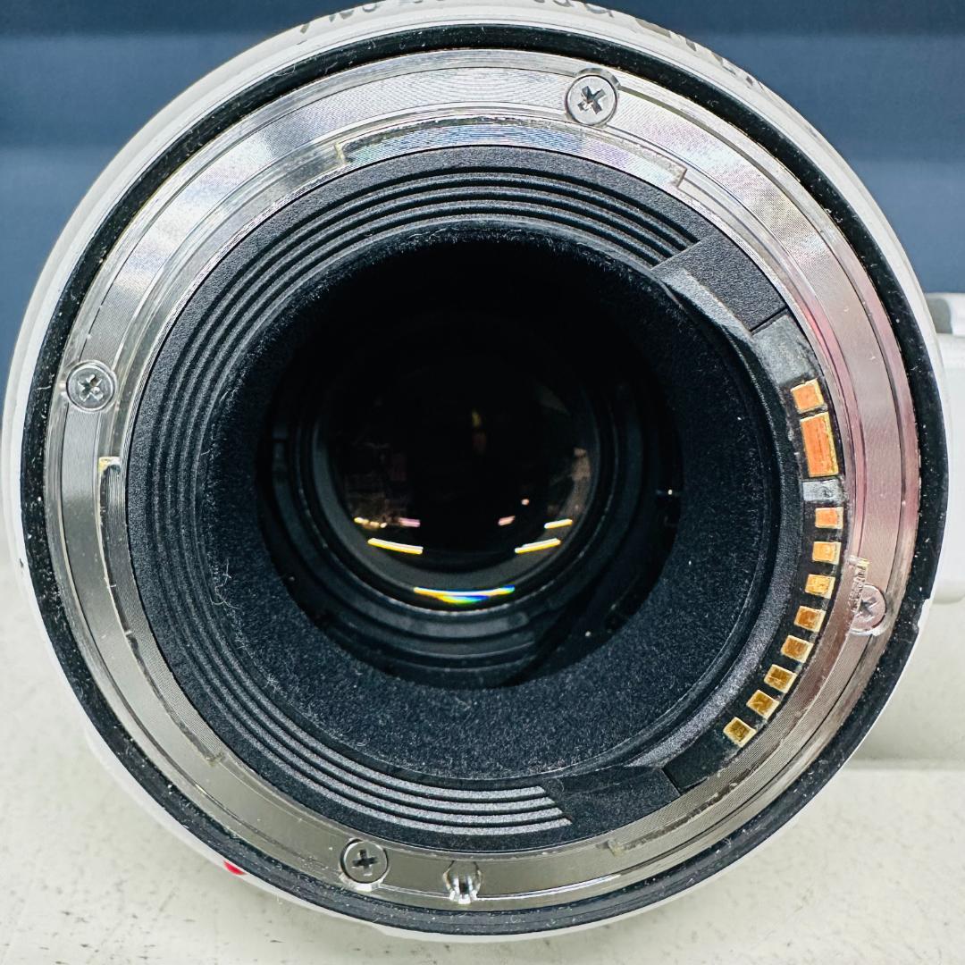 【中古品】Canon EF100-400mm F4.5-5.6L Ⅱ USM