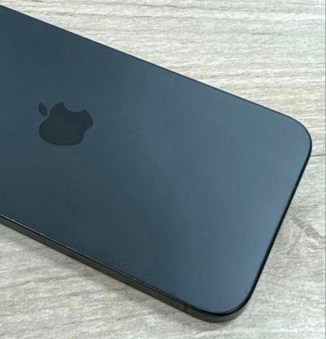 iPhone 15 Pro Max｜1TB｜SIMフリー