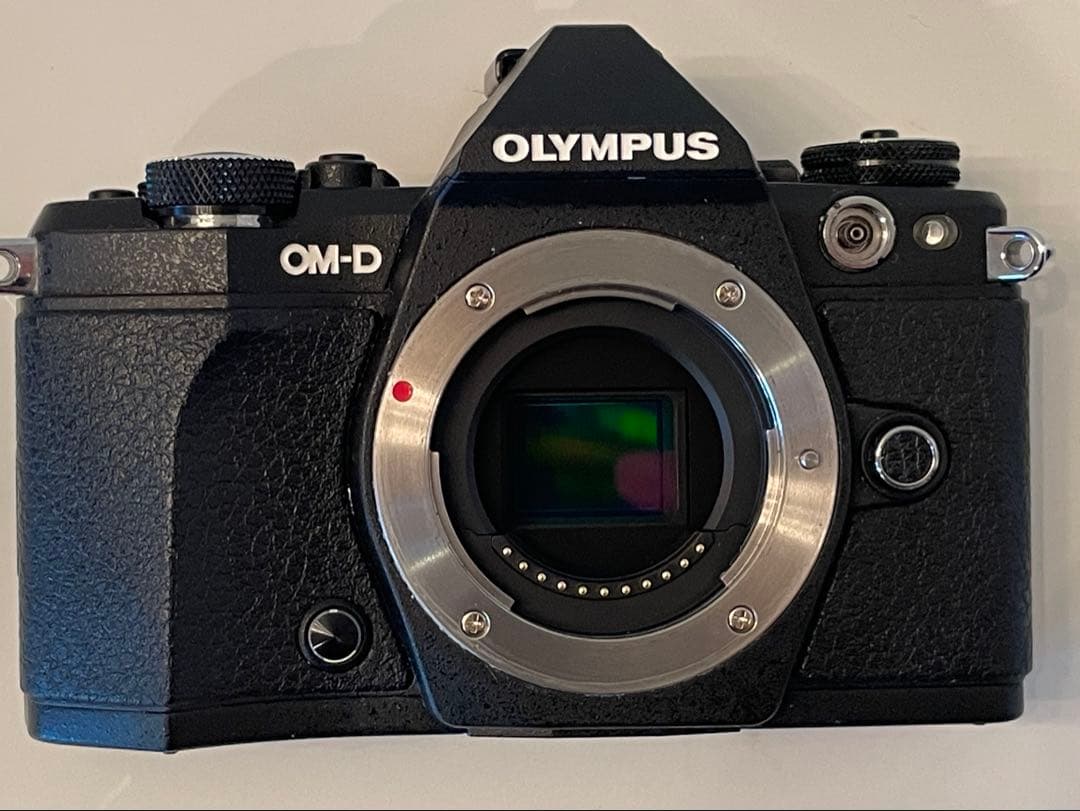 OLYMPUS ミラーレス一眼カメラ OM-D E-M5 MarkII