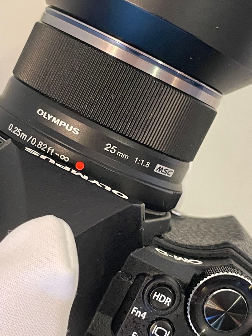 OLYMPUS ミラーレス一眼カメラ OM-D E-M5 MarkII