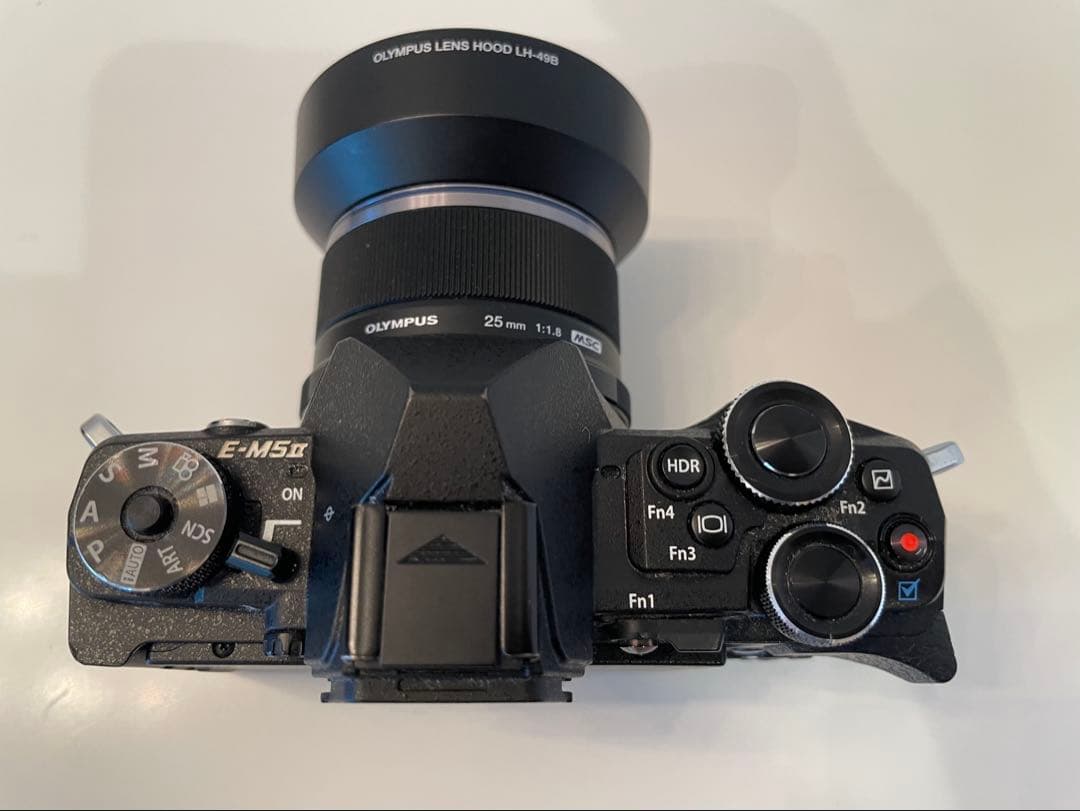 OLYMPUS ミラーレス一眼カメラ OM-D E-M5 MarkII