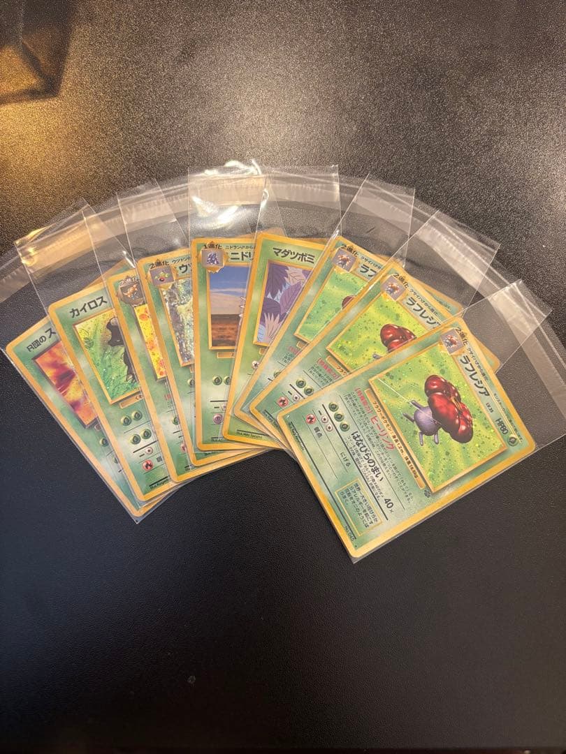 旧裏 ポケモンカード ラフレシア マダツボミ わるい R団 ストライク カイロス