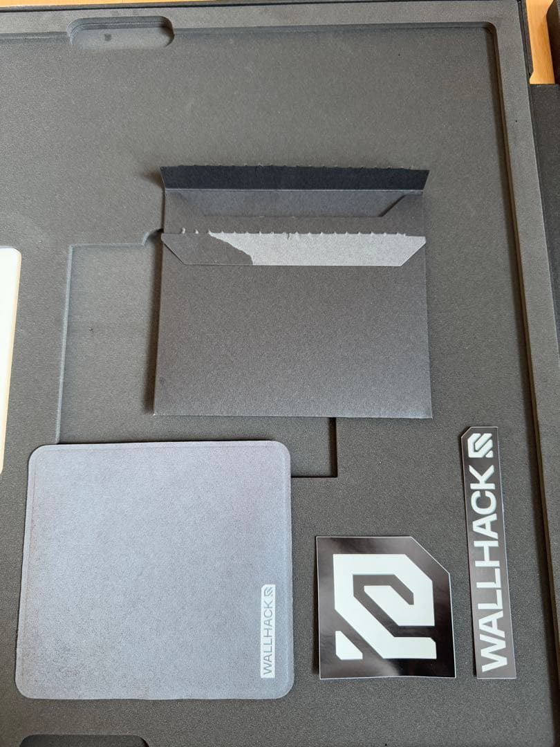 WALLHACK ガラスマウスパッド SP-004