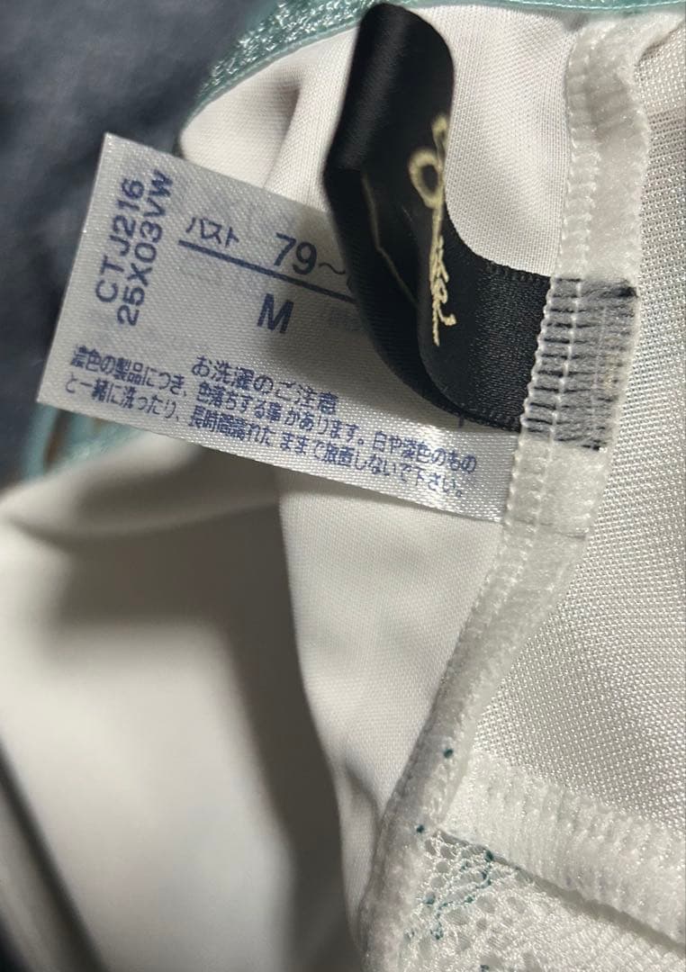 Wacoal Salute ワコール サルート CTJ216