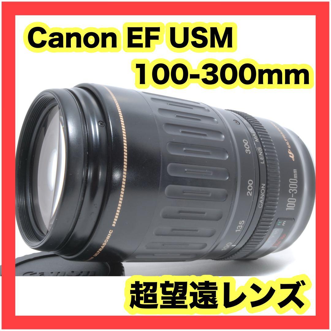 ✨超望遠レンズ✨ Canon EF 100-300mm USM フード付き