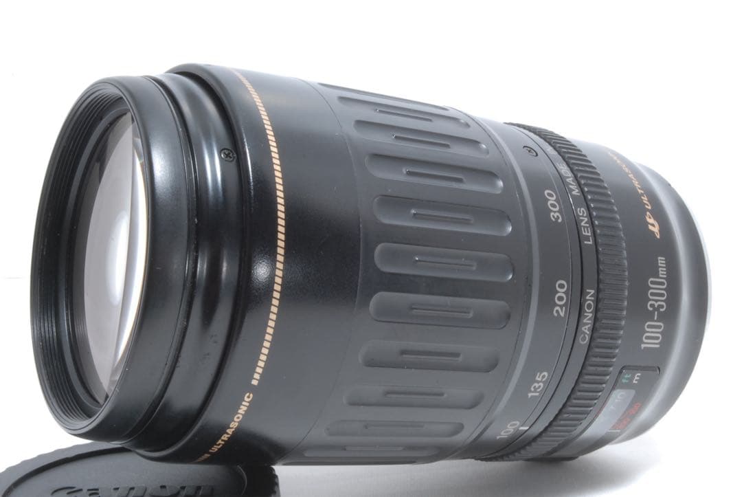 ✨超望遠レンズ✨ Canon EF 100-300mm USM フード付き