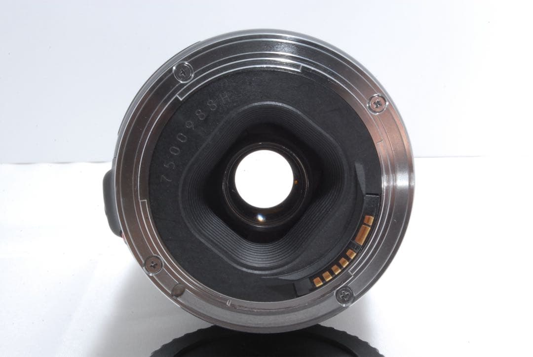 ✨超望遠レンズ✨ Canon EF 100-300mm USM フード付き