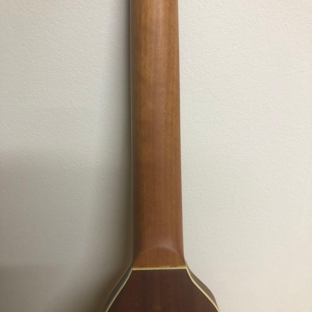 Washburn Travel Series Rover RO10トラベルギター