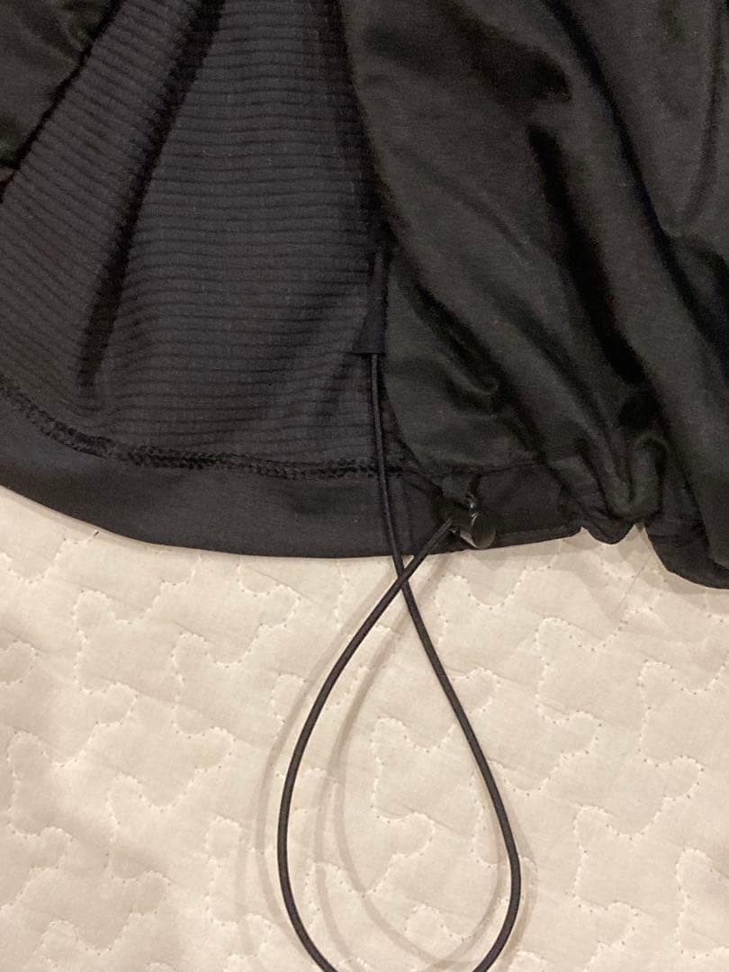 試着のみ　アークテリクス Atom SL Hoody