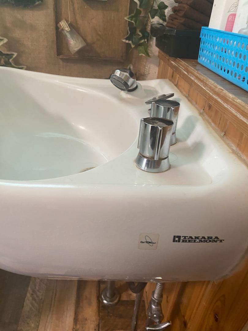 ジ*ボ様 サイドシャンプーボール