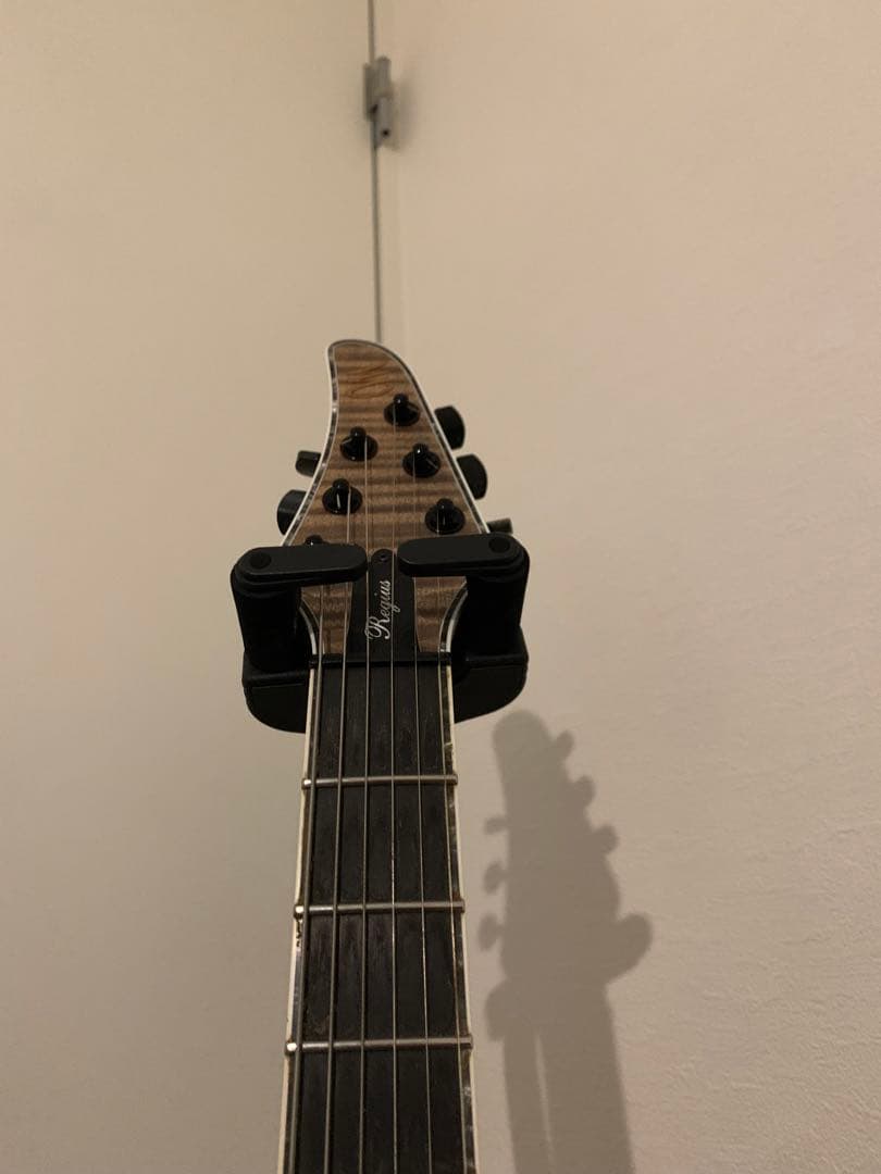 ギター MAYONES Regius 6K [custom order model]