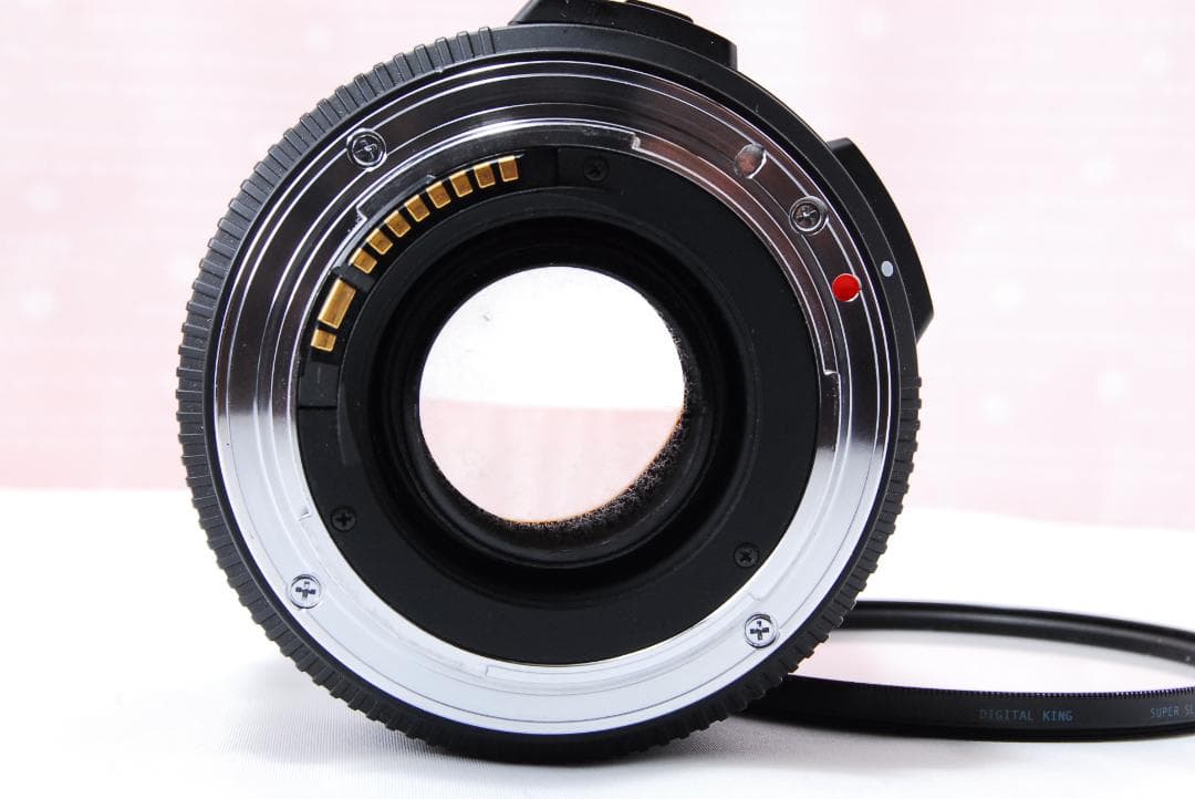 〓キヤノン用〓シグマ 17-50mm F2.8 EX DC OS HSM